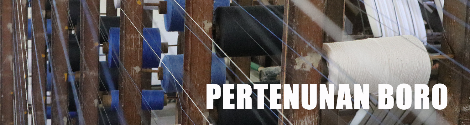 Pertenunan Santa Maria Boro